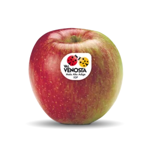 منتجات غذائية عالية الجودة