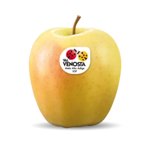 مواد غذائية أساسية