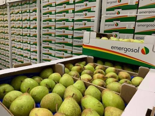 منتجات غذائية